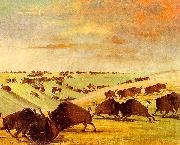 George Catlin Buffalo Bulls Fighting in Running Season-Upper Missouri oil painting artist